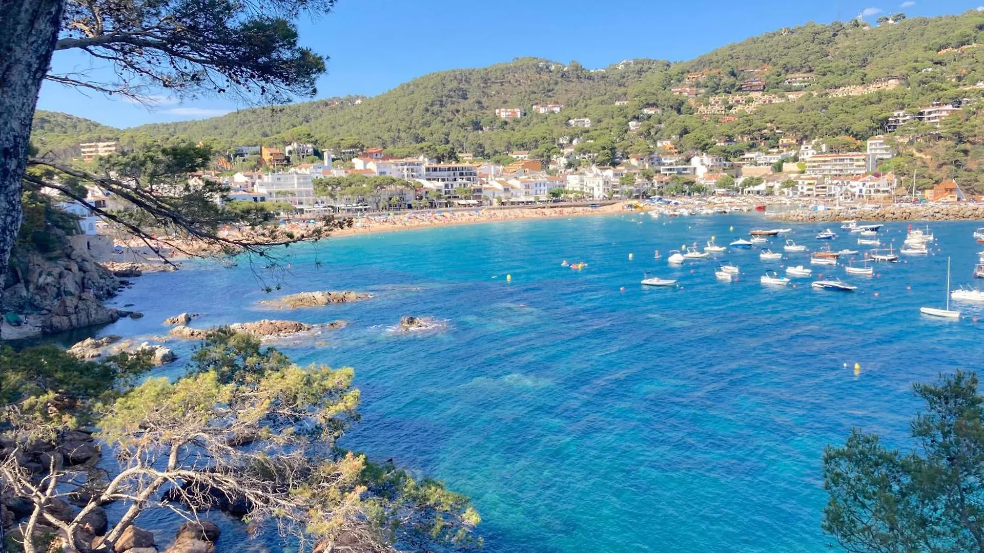 Apartamento Roger D'En Flor Llafranc España